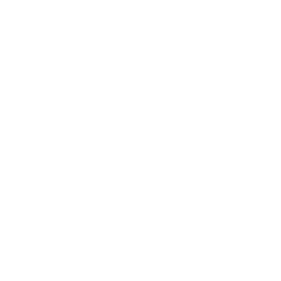 VA250 Partner